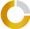 circle chart icon